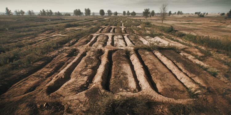 Atrocités du régime syrien : Des fosses communes révèlent l’horreur - Viral Mag Leffondrement du régime de Bachar el Assad en Syrie met au jour des fosses communes abritant les victimes datroces exactions Plongée au cœur dun système meurtrier Viral Mag