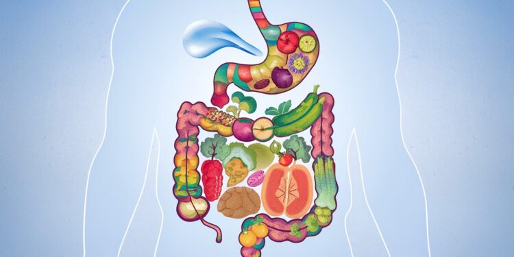Comment Optimiser sa Digestion pour des Selles Régulières et Saines - Viral Mag Découvrez les conseils des gastro entérologues pour optimiser votre transit intestinal Mauvaises habitudes à éviter astuces nutrition et mode de vie pour des selles régulières et une meilleure santé digestive Viral Mag