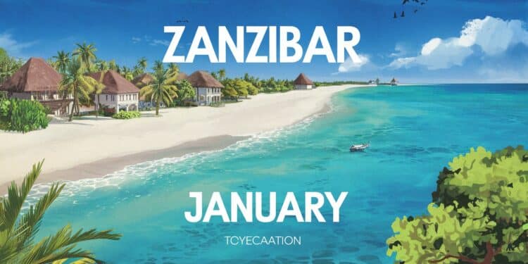 Explorez les merveilles de Zanzibar en janvier  plages idylliques aventures captivantes et culture fascinante Découvrez les secrets du paradis tanzanien    Viral Mag