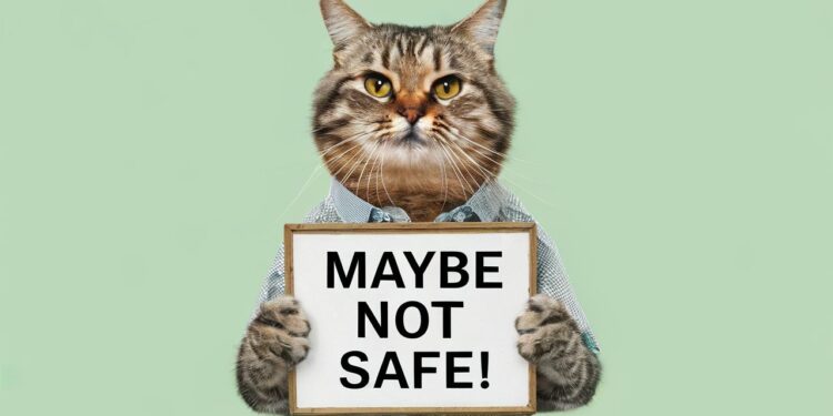 Événements Majeurs à Travers le Monde du 5 au 13 Décembre 2024 - Viral Mag Découvrez les événements internationaux incontournables à venir dans les prochains jours de la politique au sport en passant par la culture Viral Mag