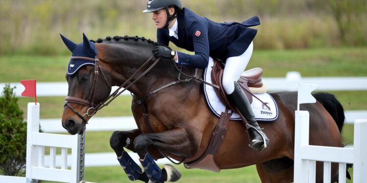 Frédéric Bouix: Les Défis Du Nouveau Président De La FFE - Viral Mag Frédéric Bouix élu nouveau président de la FFE dévoile ses ambitions pour léquitation française développer la pratique viser lexcellence et relever les défis sociétaux Viral Mag