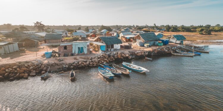 Né sur le sol gambien mais sans papiers Paul Techy et les habitants de Ghana Town vivent dans les limbes de la reconnaissance Découvrez leur histoire   Viral Mag