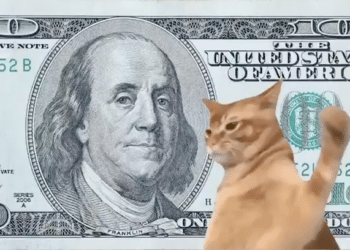 Catslap dépasse Popcat : Les récompenses Slap-to-Earn et l’Airdrop pourraient faire bondir le prix du SLAP de 100% jusqu’à 0,01$