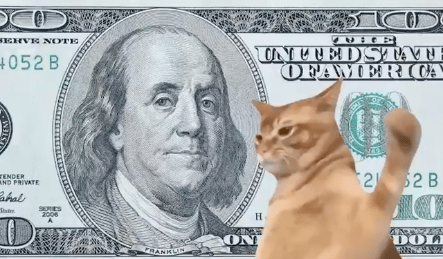 16122024   Jeudi 12 décembre 2024   Catslap $SLAP fait sensation en combinant son système novateur de Slap to Earn avec sa nouvelle campagne de quêtes sociales Zealy et ses airdrops créant ainsi le cocktail parfait pour propulser le prix du $SLAP au delà des 001$ Actuellement coté à 000529$ le token $SLAP affiche une croissance impressionnante de 4341 depuis   Viral Mag