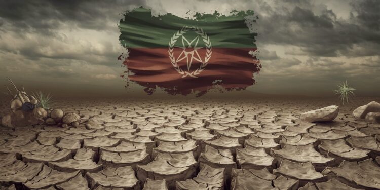 L’Afghanistan souhaite participer aux négociations climatiques malgré l’isolement - Viral Mag En dépit de lisolement des talibans lAfghanistan veut faire entendre sa voix dans les négociations internationales sur le climat Viral Mag