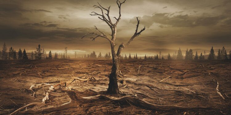 LONU alerte  lagriculture intensive et la déforestation mettent la planète en péril Près de 15 milliard dhectares de terres à restaurer dici 2030 pour éviter un désastre écologique sans précédent   Viral Mag