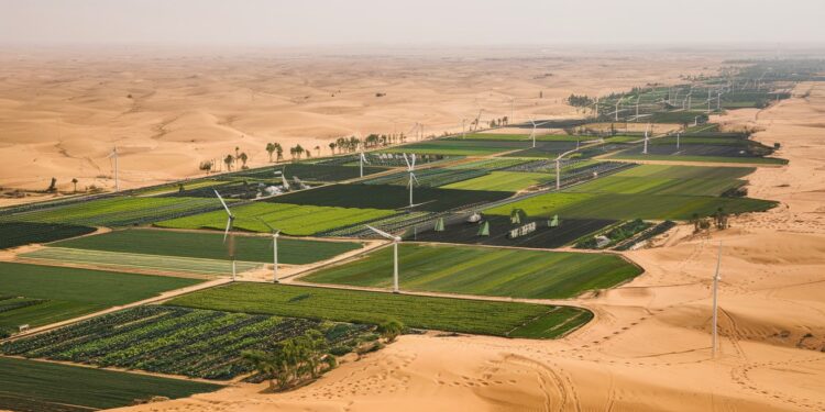 L’Arabie Saoudite Mise Sur Les Innovations Vertes Pour Verdir Le Désert - Viral Mag LArabie saoudite investit massivement dans les technologies vertes pour transformer ses déserts en terres fertiles Entre promesses et défis les start up saoudiennes relèvent le défi Viral Mag