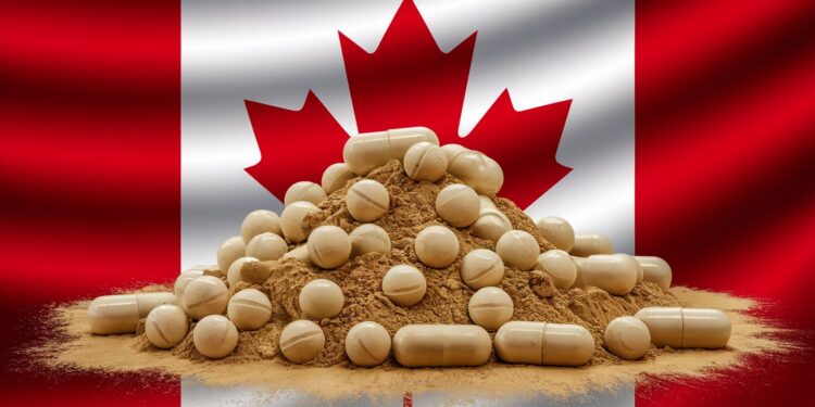 Le Canada, nouveau fournisseur mondial de fentanyl ? - Viral Mag La production et lexportation de fentanyl explosent au Canada un enjeu majeur pour la crise des opioïdes Décryptage dun phénomène alarmant Viral Mag