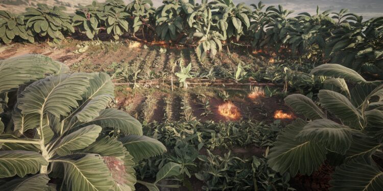 La lutte contre les narcotrafiquants sintensifie  le Pérou éradique 25 782 hectares de cultures illégales de coca en 2024 évitant 236 tonnes de cocaïne Mais la consommation explose en France   Viral Mag