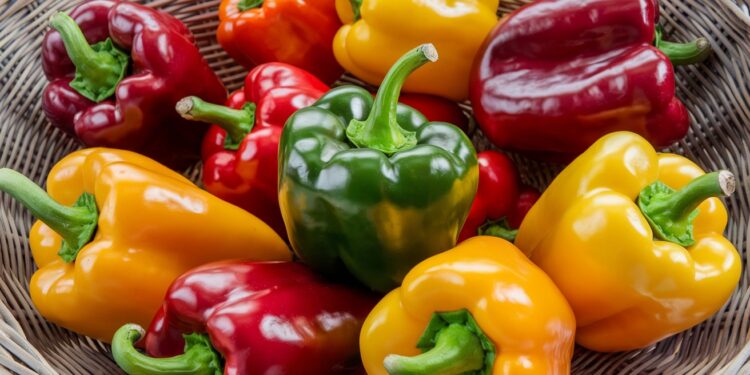 Le secret surprenant de l’absence du poivron vert dans les packs multicolores - Viral Mag Découvrez la fascinante raison pour laquelle les poivrons verts sont absents des packs multicolores et plongez dans lunivers surprenant des poivrons Viral Mag