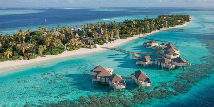 Les 18 activités incontournables pour des vacances de rêve aux Maldives - Viral Mag Découvrez les 18 activités à ne pas manquer pour un séjour inoubliable aux Maldives Plongées rencontres avec la faune marine détente et bien plus encore Viral Mag