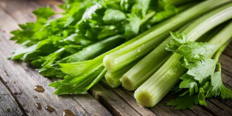 Les bienfaits étonnants du céleri, d’après une diététicienne - Viral Mag Savoureux et croquant le céleri est un aliment santé sous estimé Découvrez ses nombreux atouts et comment en profiter au quotidien    Viral Mag