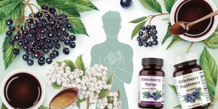 Les Bienfaits Insoupçonnés du Sureau : Un Allié Naturel Pour Votre Santé - Viral Mag Découvrez les vertus étonnantes du sureau cet allié naturel qui booste votre système immunitaire et vous aide à lutter contre les affections saisonnières Zoom sur ses bienfaits   Viral Mag