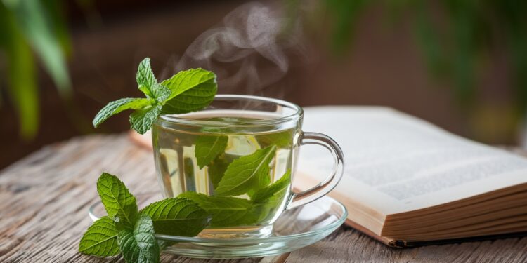 Les Bienfaits Insoupçonnés du Thé à la Menthe : Boostez Votre Santé au Quotidien - Viral Mag Découvrez les vertus étonnantes du thé à la menthe pour votre bien être Digestion stress immunité Cette infusion vous veut du bien Viral Mag