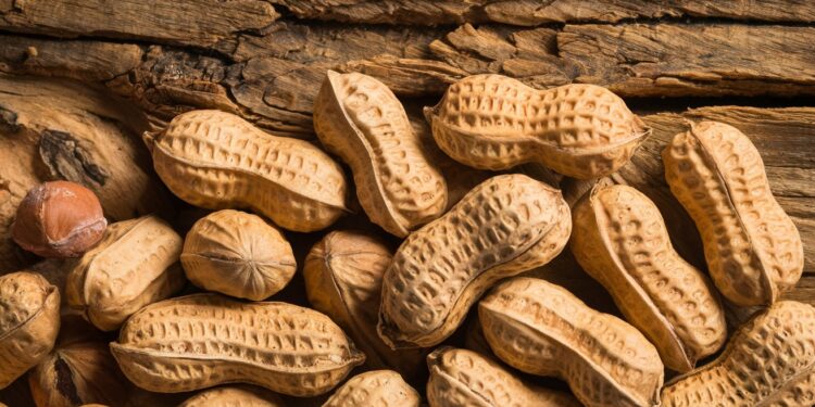 Les Bienfaits Santé Méconnus des Cacahuètes pour Votre Bien-Être - Viral Mag Découvrez les étonnants bienfaits santé des cacahuètes perte de poids cœur en forme glycémie contrôlée Un allié nutritionnel à ne pas négliger Viral Mag