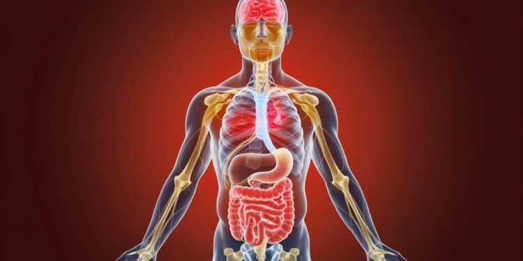 Découvrez les impacts néfastes de linflammation chronique sur la santé de la fatigue aux douleurs articulaires Apprenez à la prévenir   Viral Mag