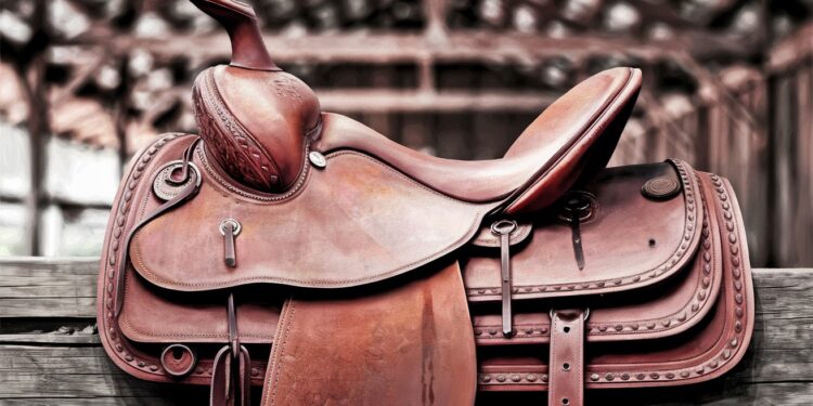 Découvrez lhistoire fascinante derrière lexpression Cest là que le bât blesse remontant à une époque où les chevaux étaient rois Plongez dans les racines de notre langue    Viral Mag