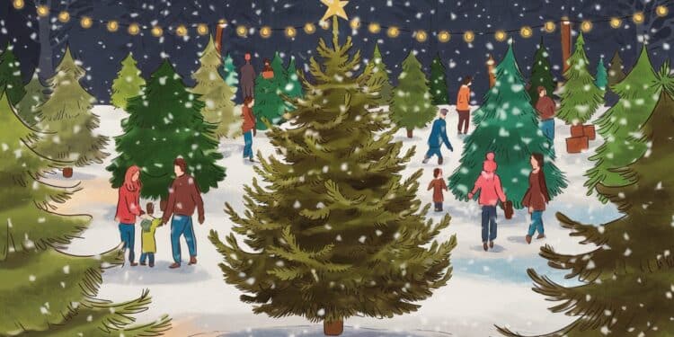 Noël approche : comment choisir son sapin sans briser son budget - Viral Mag Découvrez nos astuces pour dénicher votre sapin de Noël idéal sans vous ruiner Naturel ou artificiel petits budgets ou grand luxe on vous dit tout Viral Mag