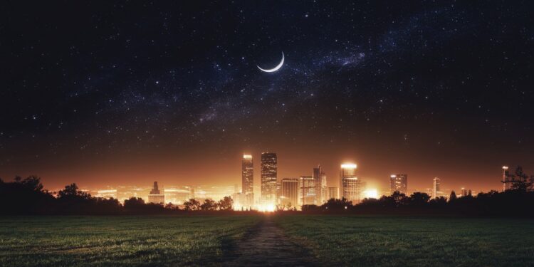 Des éclairagistes innovent pour protéger la biodiversité de la pollution lumineuse sans empêcher lactivité humaine Découvrez les solutions   Viral Mag