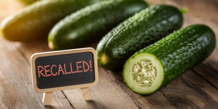 Alerte sanitaire  des concombres distribués dans 26 États et 5 provinces canadiennes sont rappelés en raison dune contamination à la Salmonelle Soyez vigilants    Viral Mag