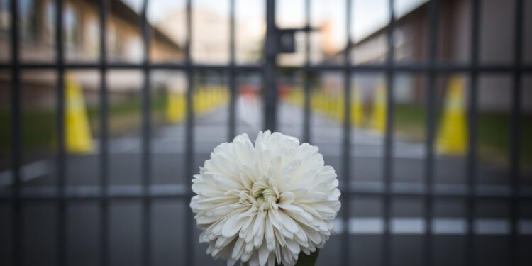 Un acte de violence inouï secoue la Croatie  un ex élève de 19 ans sintroduit dans une école primaire de Zagreb et poignarde à mort un enfant de 7 ans faisant aussi plusieurs blessés   Viral Mag