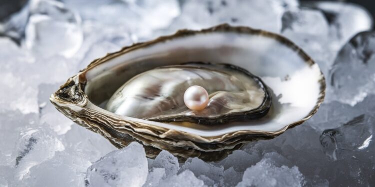 En dégustant une huître fraîche un habitant de Bouguenais près de Nantes a eu la surprise de trouver une perle à lintérieur Découvrez cette histoire insolite   Viral Mag