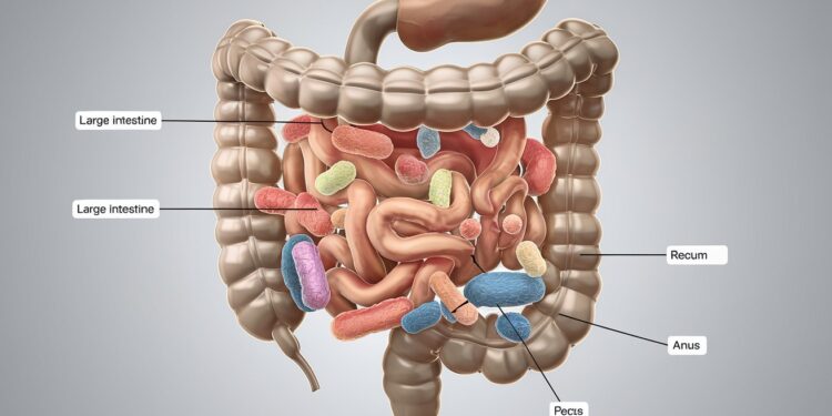 Découvrez les 7 raisons les plus courantes qui peuvent expliquer pourquoi vous allez souvent aux toilettes Rassurez vous cest souvent tout à fait normal    Viral Mag