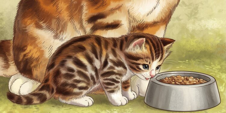 À quel âge les chatons sont-ils sevrés ? Découvrez les étapes clés - Viral Mag Le sevrage dun chaton est une étape cruciale dans son développement Apprenez à quel âge les chatons sont sevrés et comment bien les accompagner lors de cette transition importante Viral Mag