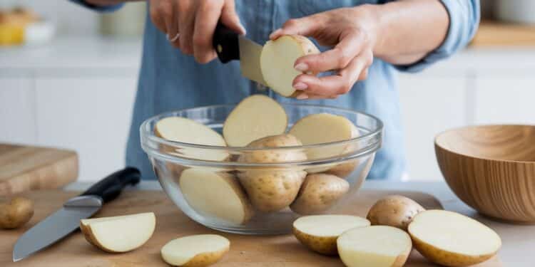 Congeler vos pommes de terre : la clé pour une cuisine pratique ! - Viral Mag Découvrez comment congeler vos pommes de terre pour gagner du temps en cuisine Nos astuces pour des frites purées et gratins réussis à tous les coups   Viral Mag