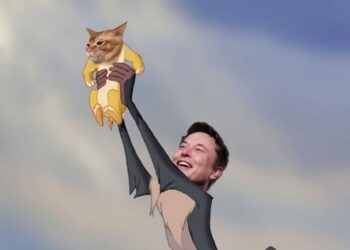 Catslap : Révélation imminente du classement pour la distribution de 100 000 USDT, les investisseurs accumulent le $SLAP