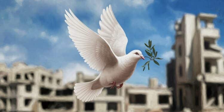 Israël et le Hamas Concluent une Trêve après des Semaines de Conflit - Viral Mag Après des semaines daffrontements meurtriers Israël et le Hamas ont conclu une trêve fragile Découvrez les enjeux de cet accord historique   Viral Mag