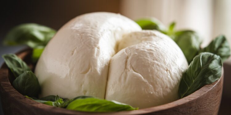 La Mozzarella : Le Fromage Sain et Savoureux Qui Fait Fondre Les Cœurs - Viral Mag Découvrez les bienfaits nutritionnels étonnants de la mozzarella et des idées alléchantes pour lintégrer dans vos plats Un régal pour les papilles Viral Mag