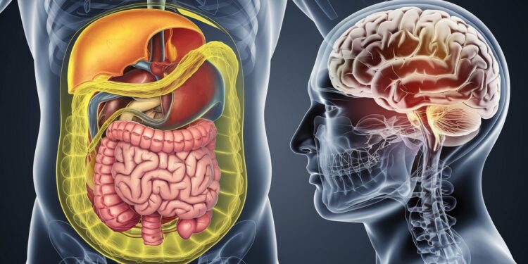 La graisse viscérale située autour des organes abdominaux est liée à un risque accru de démence Découvrez comment réduire ce risque   Viral Mag