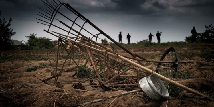 Le Massacre de 40 Agriculteurs au Nigeria par des Djihadistes de l’ISWAP - Viral Mag Dans une attaque brutale des djihadistes ont assassiné au moins 40 agriculteurs au nord est du Nigeria épicentre des insurrections de Boko Haram et de lISWAP Découvrez les détails de ce crime odieux   Viral Mag