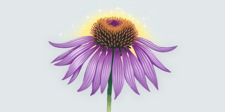 Les Bienfaits Insoupçonnés de l’Échinacée pour Booster Votre Immunité - Viral Mag Découvrez les vertus étonnantes de léchinacée pour renforcer votre système immunitaire Un allié naturel pour affronter lhiver en pleine forme Viral Mag