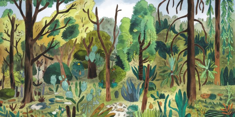 Les Espèces Résistantes Aux Flammes Sauvent Un Jardin Botanique Chilien - Viral Mag Le jardin botanique national de Viña del Mar au Chili renaît de ses cendres grâce à des milliers despèces indigènes résistantes aux incendies récemment plantées offrant un espoir face aux flammes estivales   Viral Mag