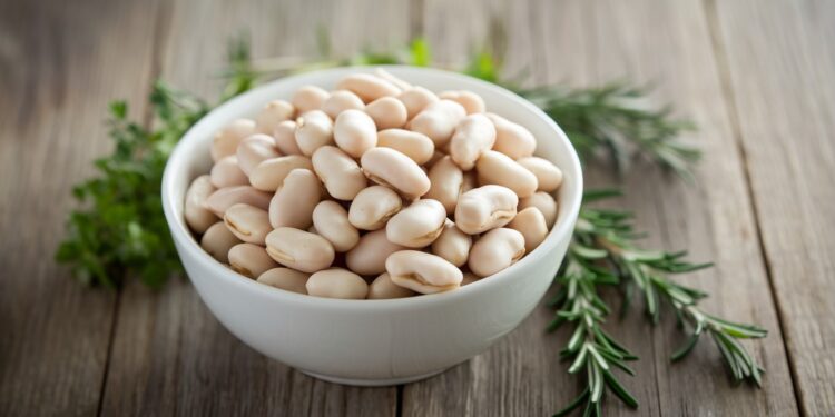 Découvrez comment intégrer les haricots blancs riches en potassium magnésium calcium et fibres à votre alimentation pour maintenir une pression artérielle équilibrée   Viral Mag