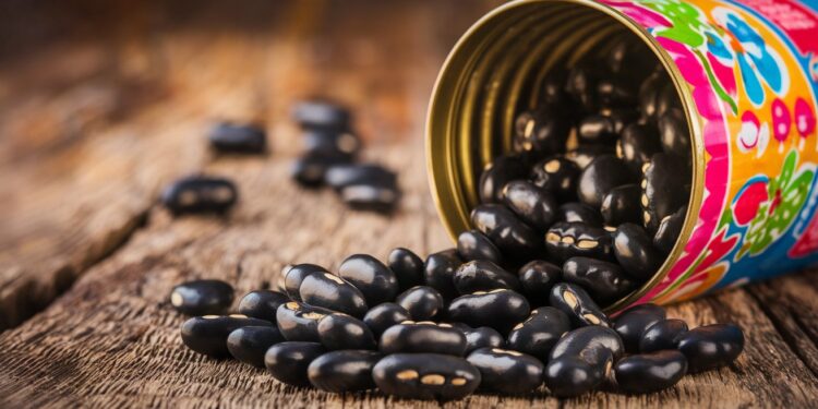 Les Haricots Noirs de Costco : Le Choix N°1 des Diététiciens - Viral Mag Découvrez pourquoi les haricots noirs en conserve de Costco sont plébiscités par les diététiciens Riches en protéines végétales fibres vitamines et minéraux ils sont nutritifs et polyvalents   Viral Mag