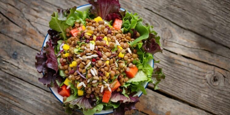 Les Lentilles : Le Meilleur Booster Protéiné Pour Vos Salades - Viral Mag Découvrez pourquoi les lentilles sont lingrédient star pour booster les apports en protéines fibres et nutriments de vos salades Conseils dune diététicienne Viral Mag