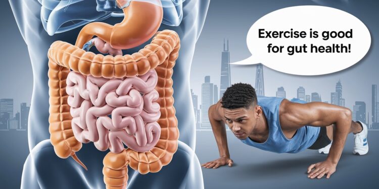 Découvrez comment lexercice régulier peut améliorer votre transit intestinal et votre santé digestive globale Conseils dexperts   Viral Mag