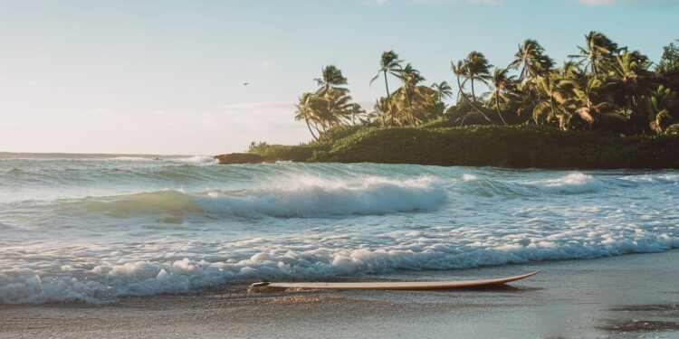 Marco Mignot : Phénomène du Surf Français, De La Naissance Au Pro - Viral Mag Découvrez le parcours unique de Marco Mignot surfeur prodige franco canadien de 24 ans en route vers le championnat du monde   Viral Mag