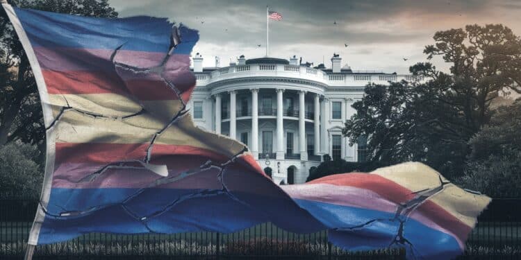 Trump et la transition de genre : un avenir incertain aux USA - Viral Mag Décret de Trump  les transitions de genre vont devenir très rares aux USA Quels impacts pour la communauté trans  Découvrez les derniers événements   Viral Mag