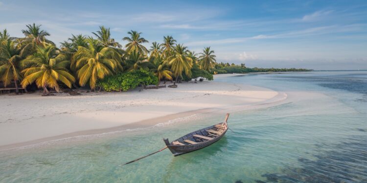 Découvrez pourquoi Zanzibar est la destination idéale en février Plages paradisiaques festivals vibrantes et activités nautiques vous attendent    Viral Mag