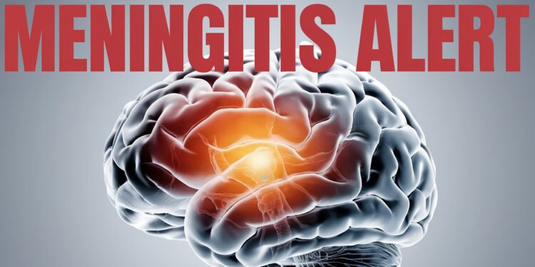 Depuis janvier les Alpes Maritimes font face à une recrudescence inquiétante de méningite LARS tire la sonnette dalarme et appelle à la vigilance   Viral Mag