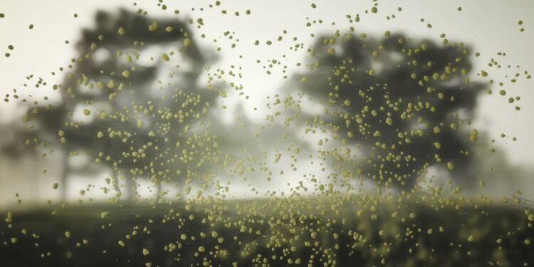 Alerte Rouge : 30 Départements Frappés par une Intense Vague d’Allergies - Viral Mag Cupressacées aulnes noisetiers Les pollens envahissent le sud et louest de la France Découvrez les zones touchées et les conseils pour se protéger   Viral Mag