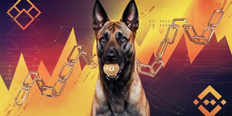 Criptomonnaie: Nouveau Chien-vedette « Officiel » sur BNB Chain? - Viral Mag CZ ex PDG de Binance vise à créer une nouvelle sensation en matière de memecoins sur BNB Chain en publiant une photo de son chien Viral Mag