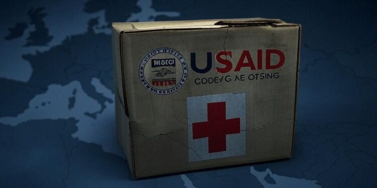 Le gel de lUSAID bouleverse laide mondiale LEurope doit elle combler le vide  Découvrez limpact et les solutions urgentes    Viral Mag