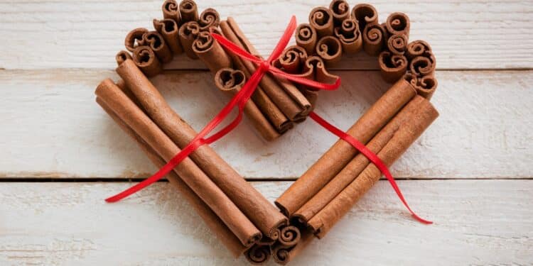 Découvrez comment la cannelle une épice populaire et savoureuse peut vous aider à réduire votre tension artérielle et à améliorer votre santé cardiaque   Viral Mag