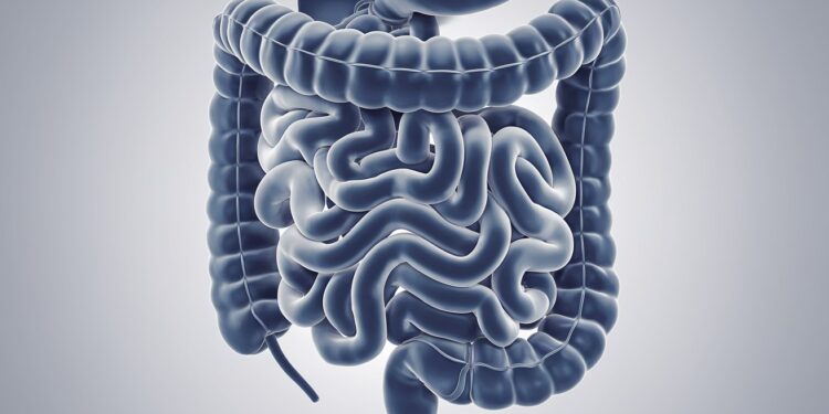 La Constipation : Un Problème Qui Touche 1 Français Sur 5 - Viral Mag La constipation est un sujet sensible qui affecte 20 des Français Découvrez les signes dalerte les causes et les solutions pour retrouver un transit normal   Viral Mag