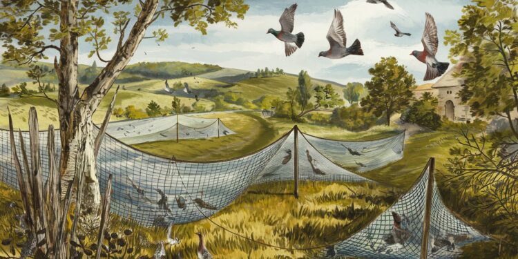 La France défendra fermement la chasse traditionnelle des palombes au filet - Viral Mag Face aux poursuites de lUE la France sengage à défendre avec détermination la chasse traditionnelle des palombes au filet dans le sud ouest du pays Viral Mag